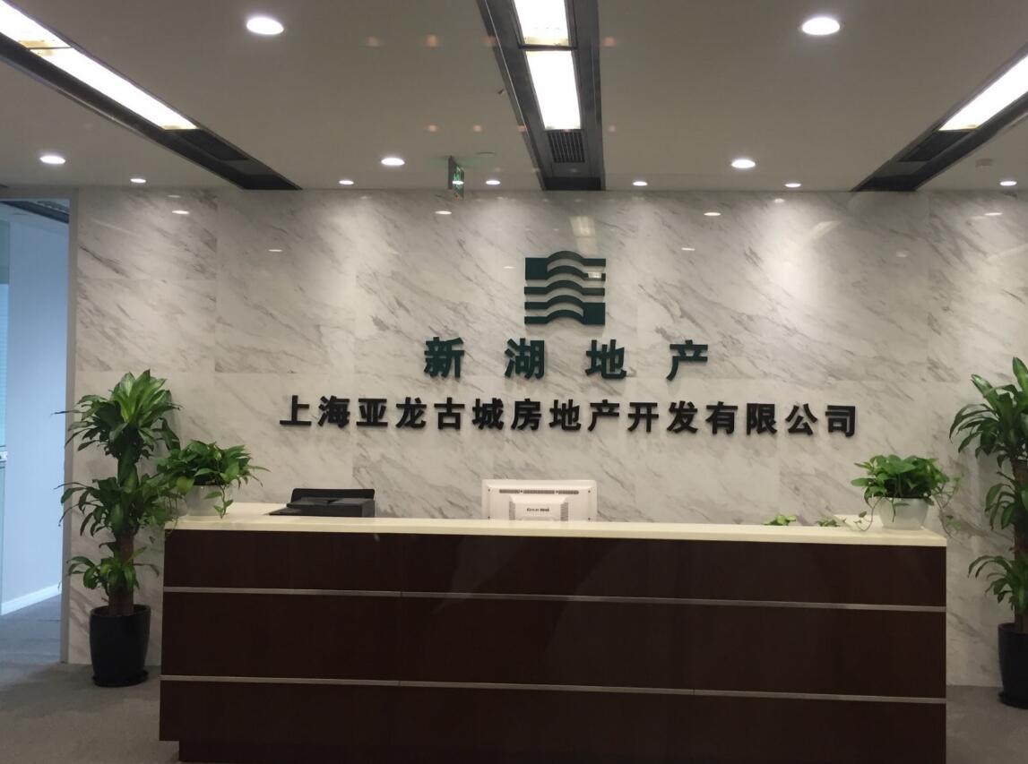 新湖地产背景墙